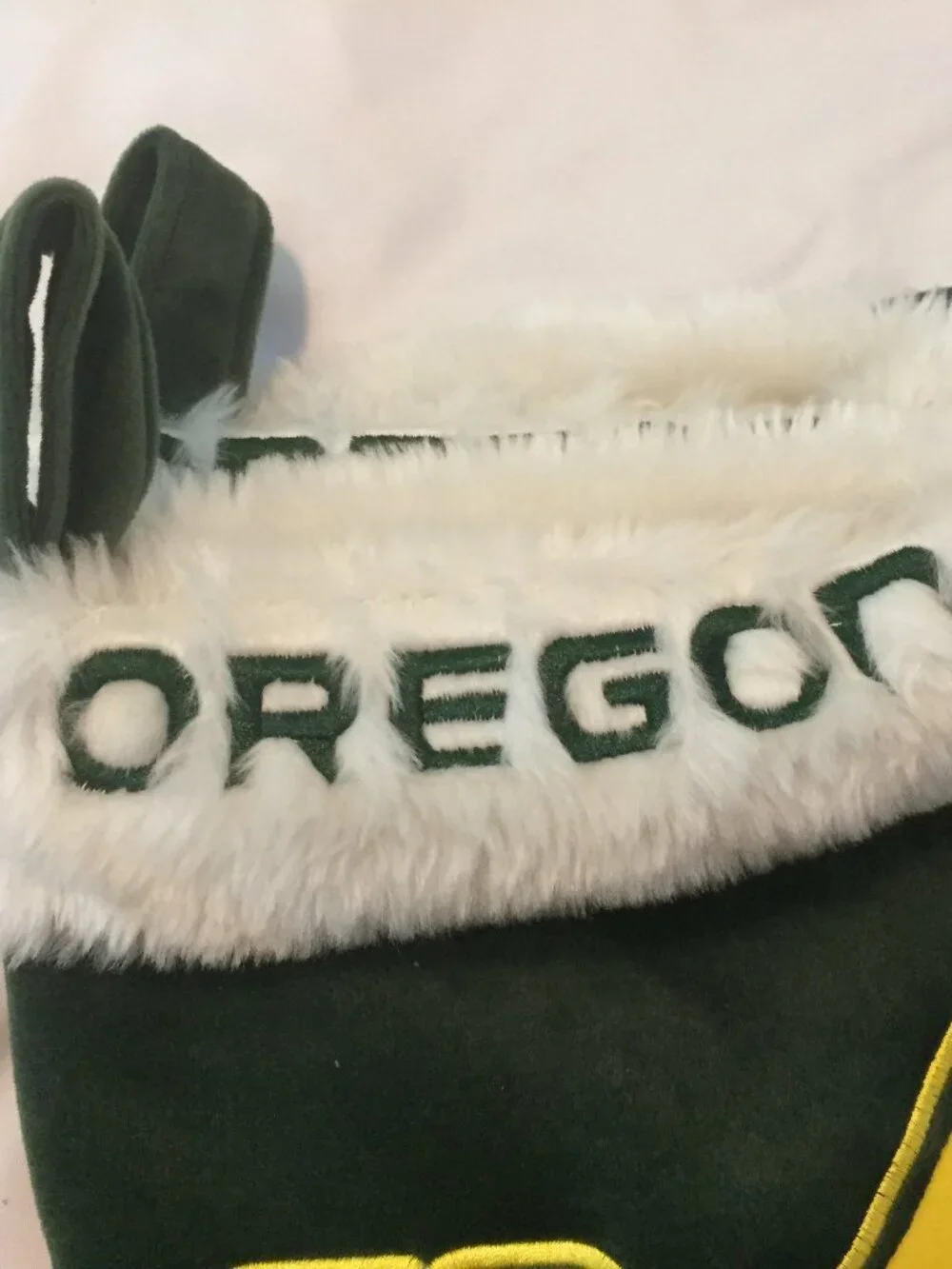 OREGON DUCKS 17